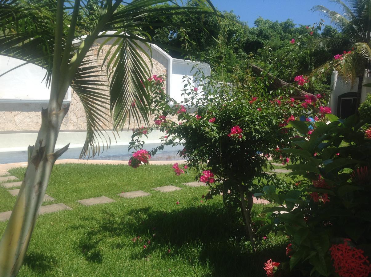 Casa Pili Bed & Breakfast Playa del Carmen Eksteriør bilde